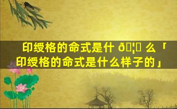印绶格的命式是什 🦊 么「印绶格的命式是什么样子的」